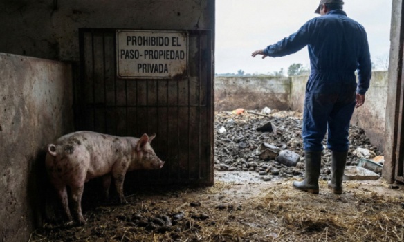 Fermez imm&eacute;diatement la ferme d'horreur dans la province de Buenos Aires