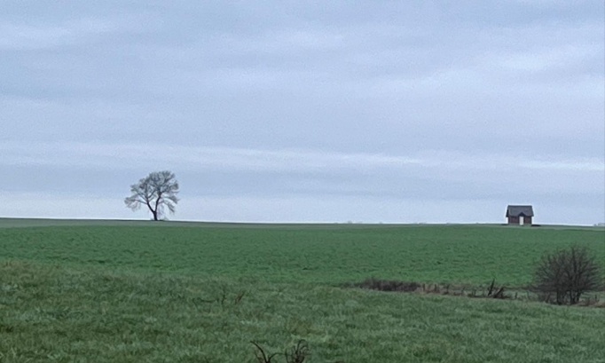 Soutien au cadre de vie de Promelles et à la démarche raisonnée de la commune de Genappe
