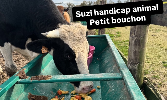 URGENT : Petit Bouchon risque l&rsquo;euthanasie : demandons un second test !