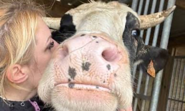 Pour autoriser un second test pour Petit Bouchon suite &agrave; sa d&eacute;cision d&rsquo;euthanasie