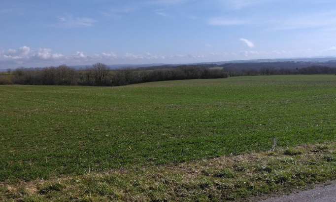 opposition parc éolien colonne st Joseph , serécourt / isches