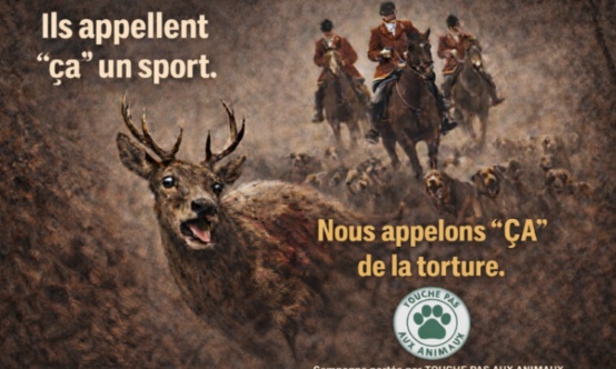Stop &agrave; la chasse &agrave; courre