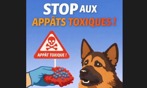 Pour la protection des animaux domestiques et l&rsquo;action contre l&rsquo;empoisonnement criminel