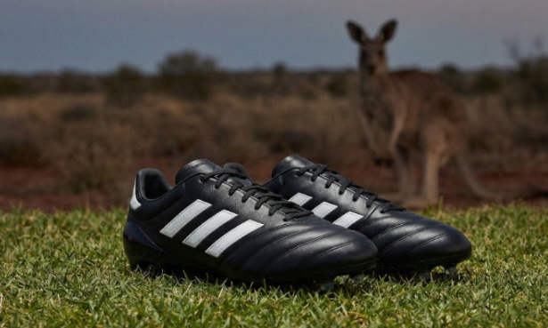 Arr&ecirc;tez de transformer les kangourous en chaussures de football : interdisez le K-Leather maintenant !