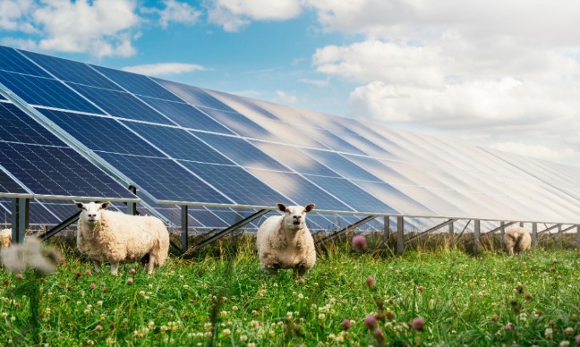PÉTITION - Contre le projet de parc agrivoltaique pour la préservation du cadre de vie, des paysages et de la biodiversité sur la commune du Vieux-Cérier et des alentours
