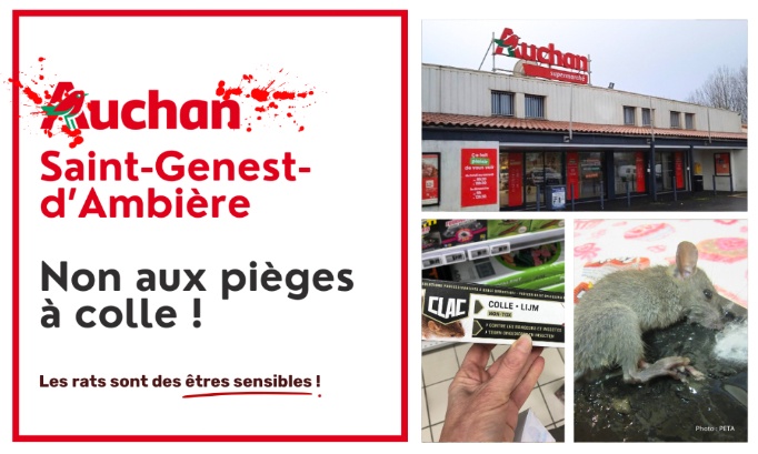 Auchan Saint-Genest-d&rsquo;Ambi&egrave;re (86) : non aux pi&egrave;ges &agrave; colle