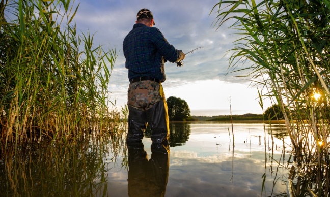 Démission de Catherine Chabaud Ministre déléguée chargée de la Mer et de la Pêche