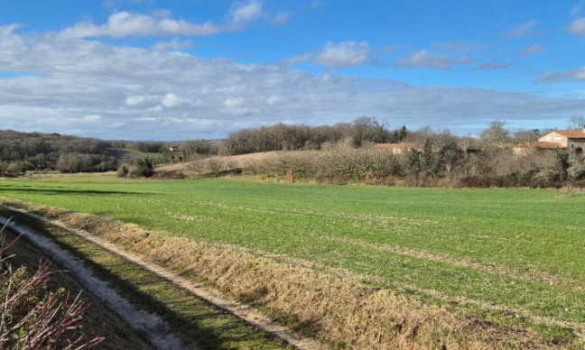 Stop à l'implantation d'un poste Enedis à Lorraine, Tocane