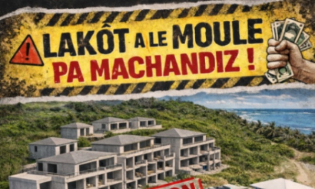 Sauvons la plage des dauphins (LE MOULE - Guadeloupe)