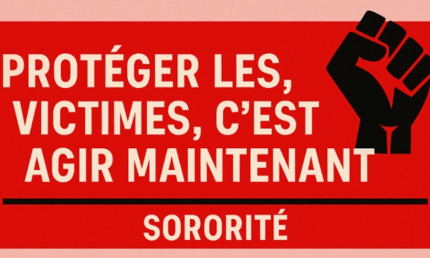 Demande commission d'enquête sur les parquets et juges français et les violences conjugales