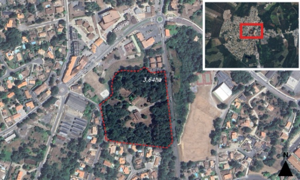 Préservons le dernier bois du bourg de Saint-Jean-d'Illac !