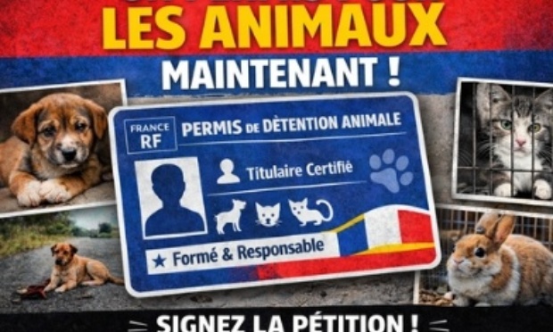 Pour la mise en place d'un v&eacute;ritable permis &agrave; d&eacute;tenir des animaux de compagnie en France