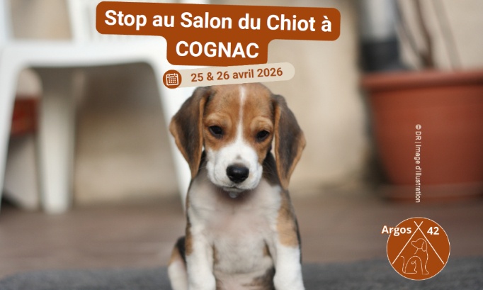 Stop au salon du chiot &agrave; Cognac