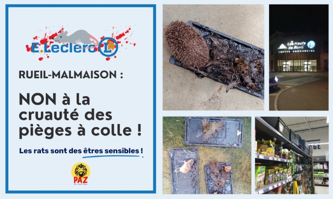 STOP à la cruauté des pièges à colle au E.Leclerc Rueil-Malmaison
