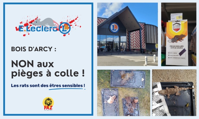 NON aux pièges à colle cruels au E.Leclerc Bois d'Arcy