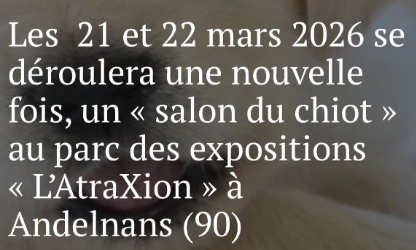 Interdisez le salon du chiot prévu à Belfort en mars 2026