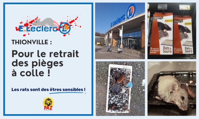 Pour le retrait des pi&egrave;ges &agrave; colle au E.Leclerc Thionville