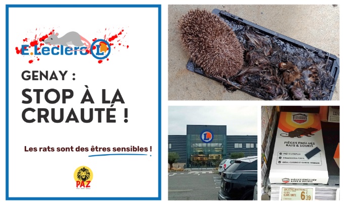 Stop &agrave; la cruaut&eacute; au E.Leclerc Genay