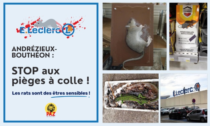 STOP &agrave; la cruaut&eacute; des pi&egrave;ges &agrave; colle au E.Leclerc Andr&eacute;zieux-Bouth&eacute;on