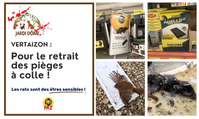 Pour le retrait des pi&egrave;ges &agrave; colle au Jardi D&ocirc;me Vertaizon