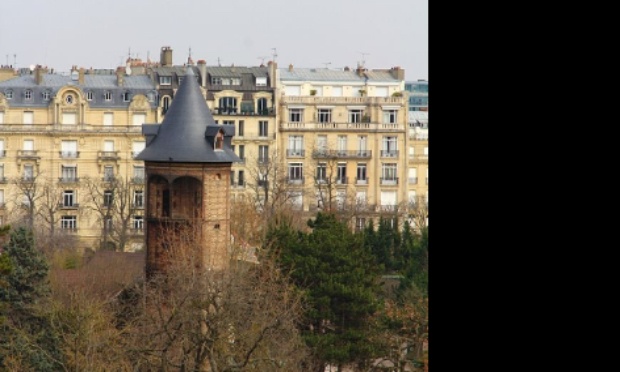 Demande urgente à Monsieur Bernard Arnault de prendre en charge les pigeons de la mare St James