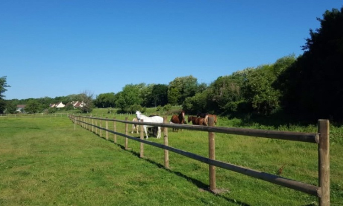 Ce club, c&rsquo;est plus qu&rsquo;un lieu : aidons-le &agrave; rena&icirc;tre