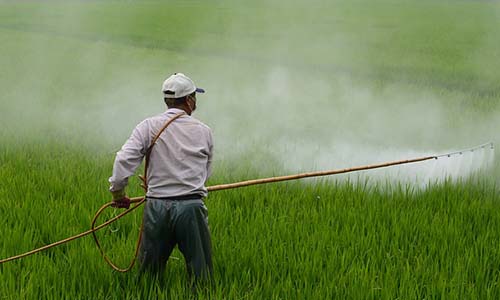 Arrêté municipal pour l'arrêt de l'emploi des pesticides par les agriculteurs