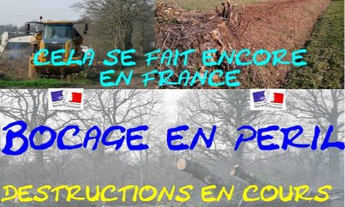 Aidez-nous à sauver le bocage du Boischaut-Sud et de la Marche