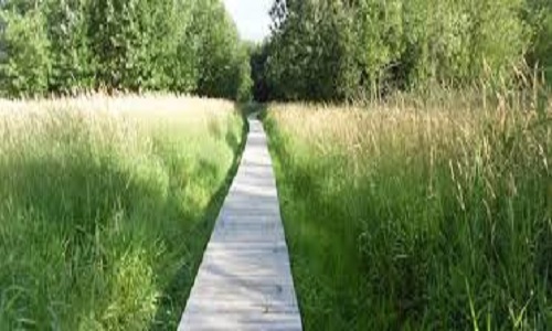 Préservons l'Ile Saint-Jean (Vernon)