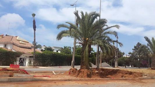 Travaux Avenue Annakhil