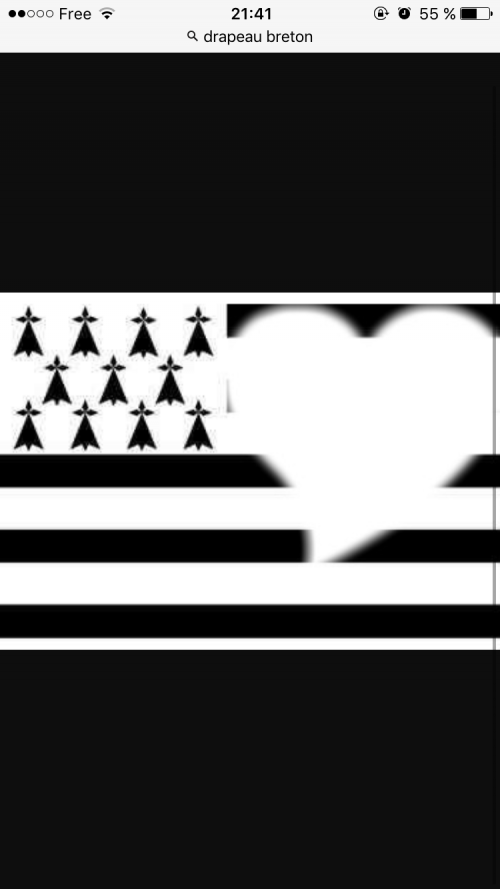 Petition pour avoir le drapeau breton dans les emojis