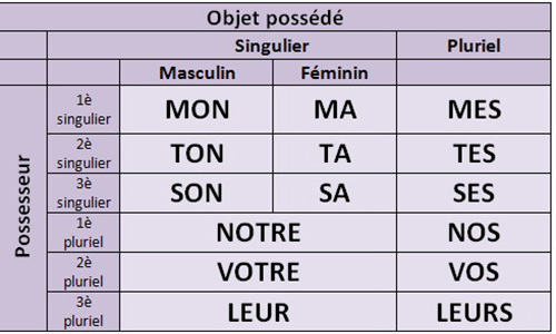 Réforme de la grammaire : adjectifs et pronoms affectifs et non plus possessifs pour les êtres vivants !
