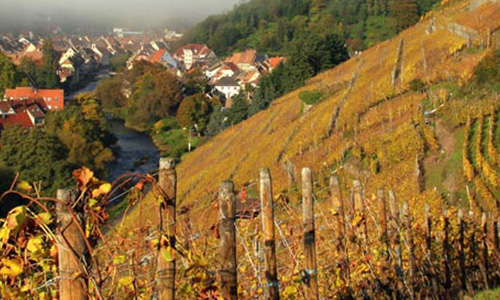 Pour une seconde date de la journée Zind Humbrecht
