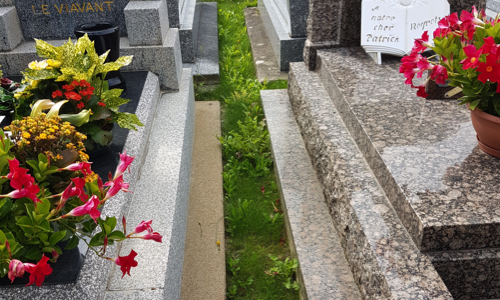 Le cimeti&egrave;re de Questembert devient une friche le programme ZERO PHYTO a bon dos