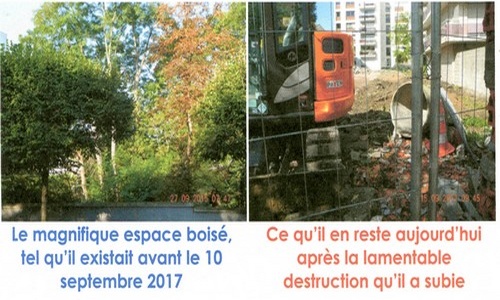 Replanter les arbres de l’espace déboisé du 96, boulevard Joffre à Bourg la Reine