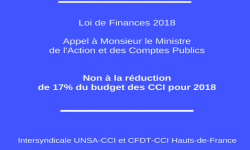 Loi de Finances 2018 - Réduction du budget des CCI - Appel au Ministre de l'Action et des Comptes Publics