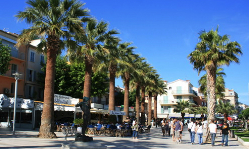 Non à la suppression des Palmiers du Quai Charles de Gaulle