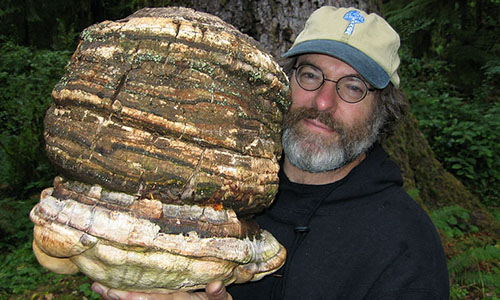 Avec ses champignons pesticides, cet homme, Paul Stamets, dérange Monsanto. Aidons-le