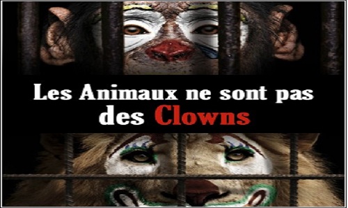 Pour des cirques sans animaux sauvages à Niort