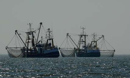 NON à la pêche électrique !