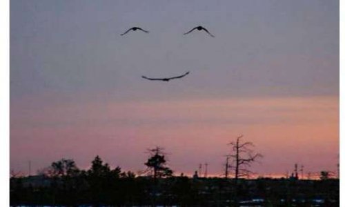 Rétablissement de la vérité dans Le combat de Naouel