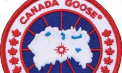 STOP AU MASSACRE de coyotes pour Canada Goose