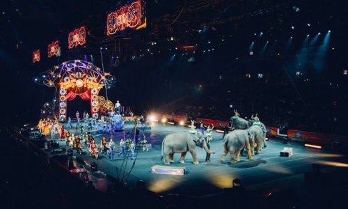 NON AUX CIRQUES AVEC ANIMAUX A LIEVIN