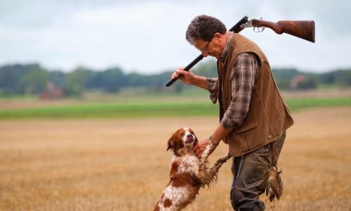 J’irais chasser le dimanche.