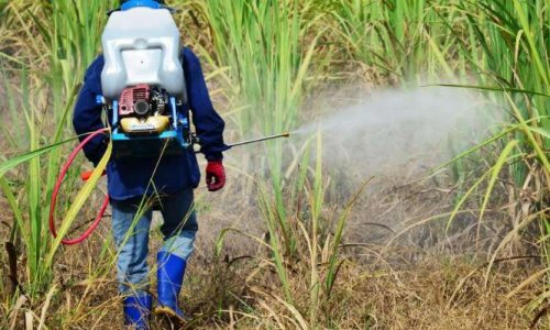 Cancer NON - pesticides fongicides insecticides herbicides : NON