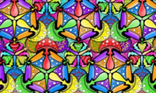 L&eacute;galiser les champignons magiques
