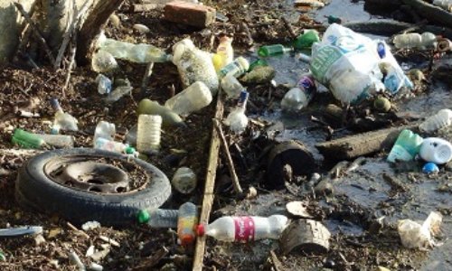 Protection de l’environnement et du milieu aquatique : pour des statuts spécifiques aux associations indépendantes