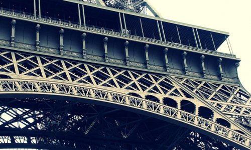Retirez le nom de Georges Cuvier de la Tour Eiffel pour cause de thèse raciste !
