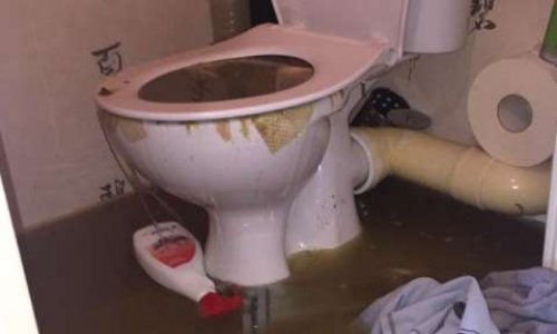 CHOC : Désastre scandaleux en HLM : Refoulement d'immondices et rebuts des eaux usées de 11 étages dans un logement