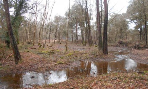 NON à l'implantation de 10 hectares de serres bio-industrielles chauffées par l'usine d'incinération de TADEN. EXIGEONS un débat public à l'échelle de Dinan Agglomération